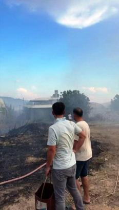 Sazlık alandaki yangın, seralara sıçradı