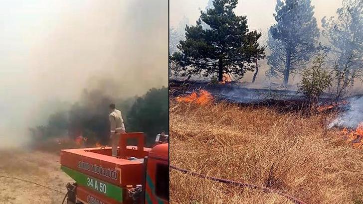Edirne'de çıkan orman yangını kontrol altında