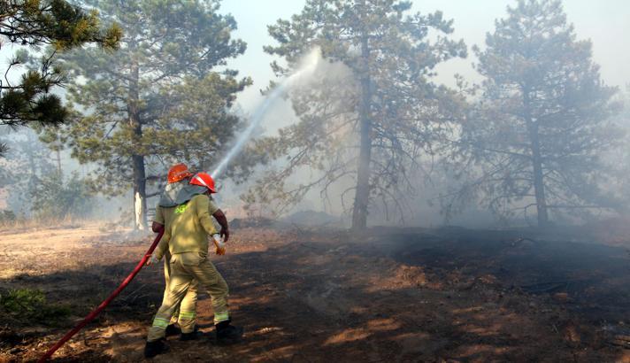 Edirne'de orman yangınında, soğutma çalışmaları sürüyor