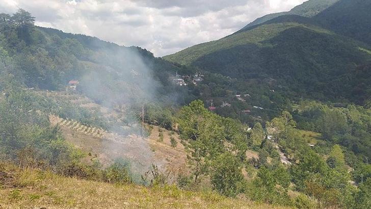 Bartın'da tarladaki anız ateşi ormana sıçradı