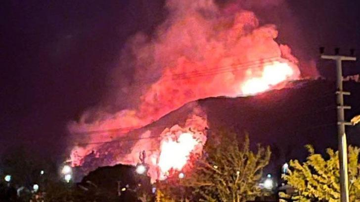 İzmir'in Urla ilçesindeki orman yangını kontrol altında