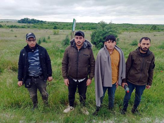 Edirne'de 4 kaçak göçmen yakalandı