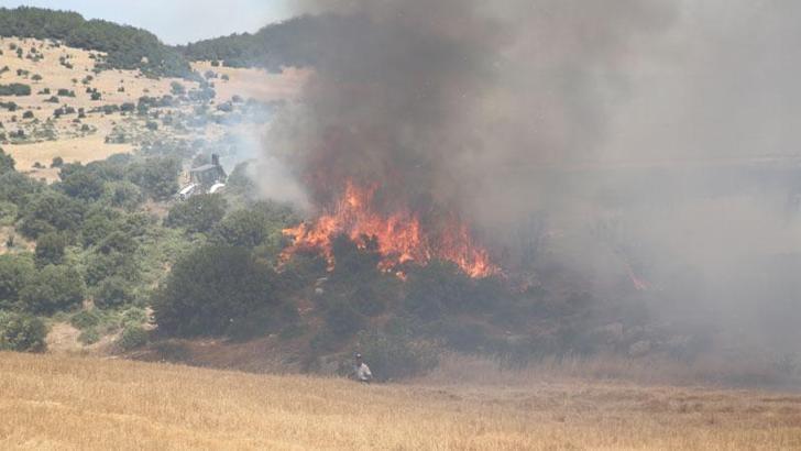 Edirne'de yerleşim yerlerine yakın tarlada yangın; 50 dönüm alan zarar gördü