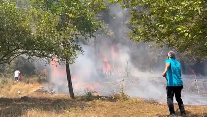 Maltepe'de orman yangını