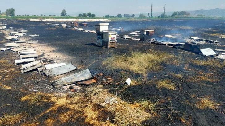 İncirliova’da çıkan ot yangınında 250 kovan kül oldu