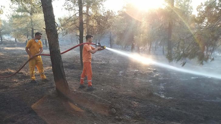Balıkesir'de orman yangını (4)