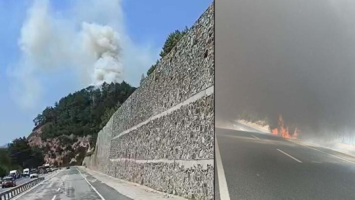 Balıkesir'de çıkan orman yangını kontrol altında