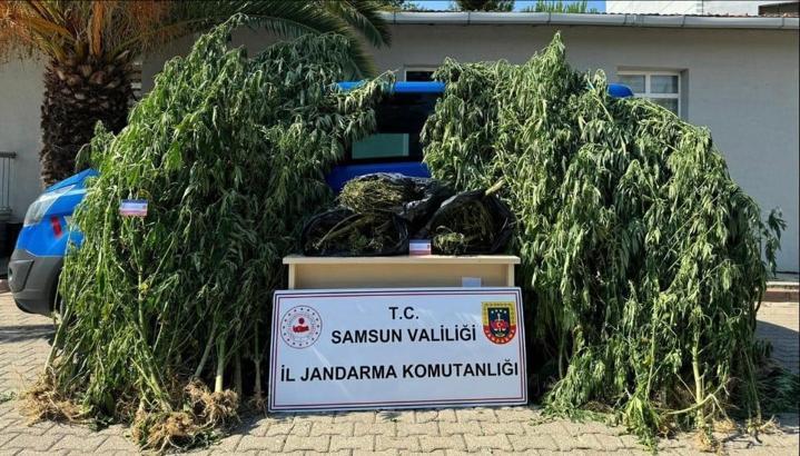 Samsun'da evinde uyuşturucu ile yakalanan bir kişi gözaltına oldu