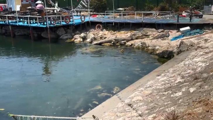 İstanbul - Avcılar'da cinayet: Önce bıçakladılar sonra denize attılar