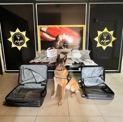 Adıyaman'da 10 kilo uyuşturucuyla yakalanan 3 şüpheliden 2'si tutuklandı