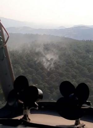 Balıkesir'de orman yangını