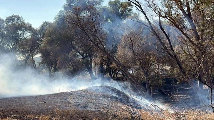 Tekirdağ’da iki ayrı piknik alanında yangın çıktı