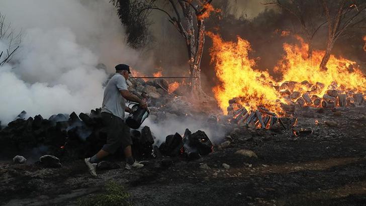 Antalya'daki orman yangınında 65 hektar kül oldu