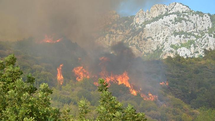 OGM: Antalya'nın Serik ilçesindeki orman yangını kontrol altına alındı