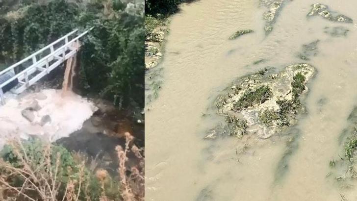 Zehirli atıklarını dereye boşaltan beyaz et üretim firmalarına milyonluk ceza