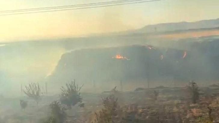 Mardin'de saman yangınında 25 dönümlük fıstık bahçesi zarar gördü