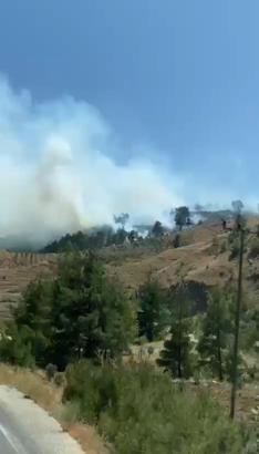 Kahramanmaraş'ta orman yangını