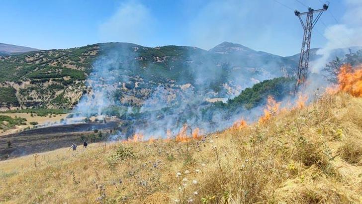 Bingöl’de 2 ilçede örtü yangını