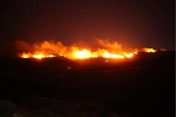 Urla'da orman yangını (2)