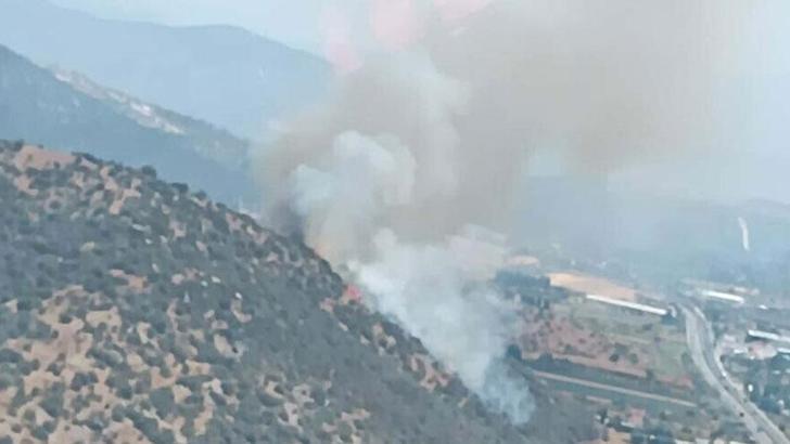 Milas'ta makilik ve tarım arazisinde yangın