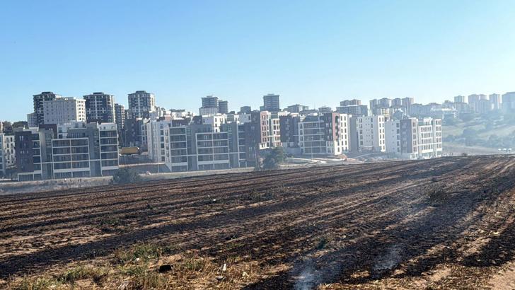 Çorlu'da tarlada başlayan yangın, yerleşim yerine ulaşmadan söndürüldü