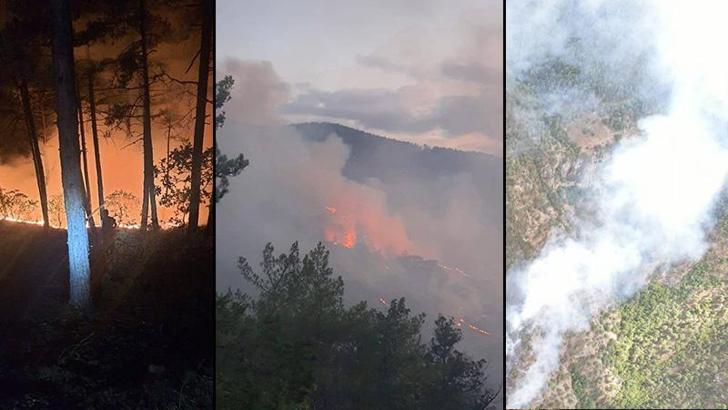 Evde çıkan yangın, ormana sıçradı; 35 dekar alan zarar gördü