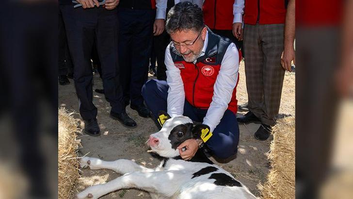 IPARD III Programı için 3'üncü başvuru çağrı ilanı yayımlandı