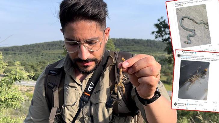 'Örümcek, yılan, akrep çok zehirli' haberlerine, 'Asıl bu haberler zehirli' tepkisi