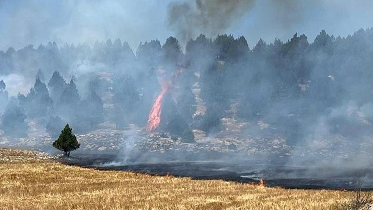 Kozan'da anız yangını ormana sıçradı