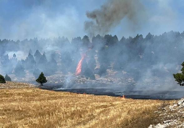 Kozan'da anız yangını ormana sıçradı