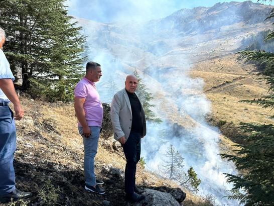 Kahramanmaraş'ta orman yangını söndürüldü (2)