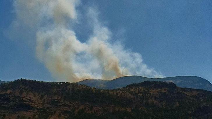 Tunceli’de orman yangını: Yangın söndürme helikopteri ve askeri personel sevk edildi