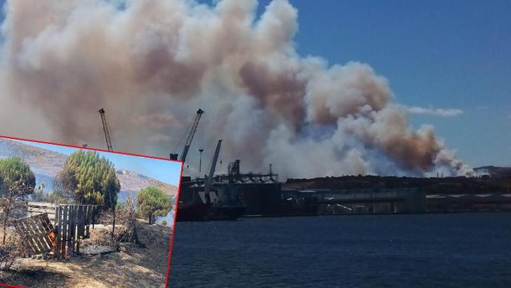 Balıkesir'de çamlıkta yangın