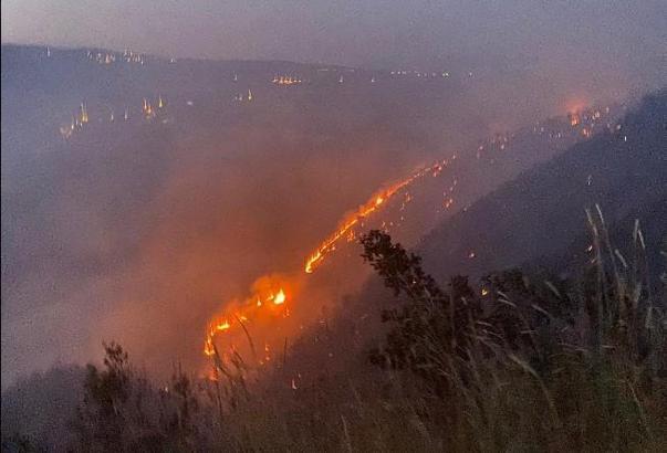 Bingöl’deki orman yangını, 8 saatte söndürüldü