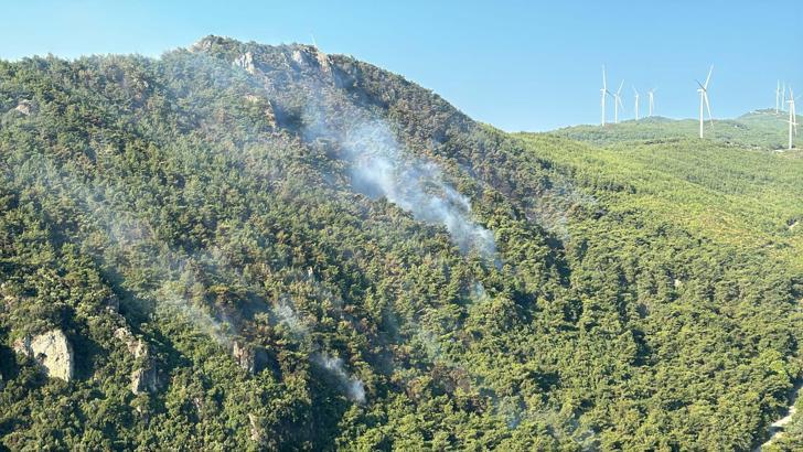 Aydın'daki yangın 2'inci gününde devam ediyor (2)