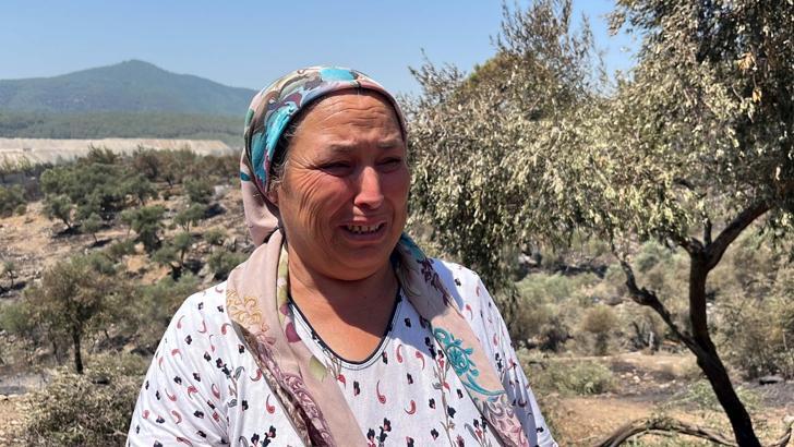 Milas'taki orman yangınında 2'nci gün; kontrol altında (3)