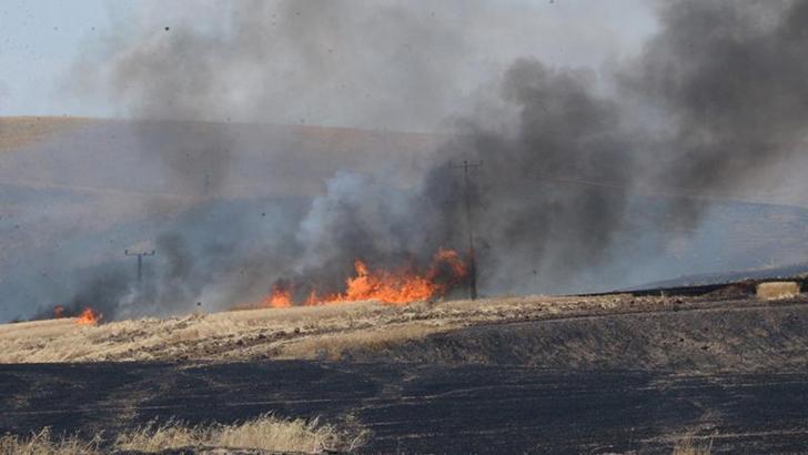 Diyarbakır'da 3 ayda çıkan 2 bin 413 yangında, 3 bin 893 hektar alan zarar gördü
