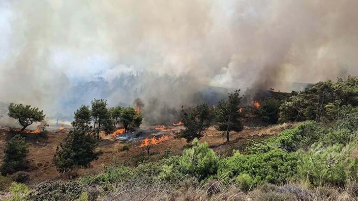 Çanakkale'de tarım arazisinde çıkan yangın ormana sıçradı; kontrol altında
