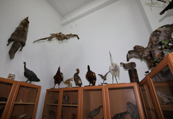 Vahşi doğanın nadir türleri Akdeniz'de sergileniyor