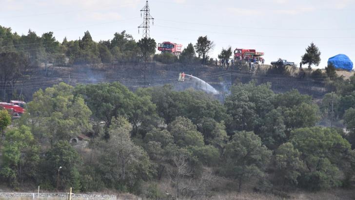 Kütahya'da orman yangınında 10 dekarlık alan yandı