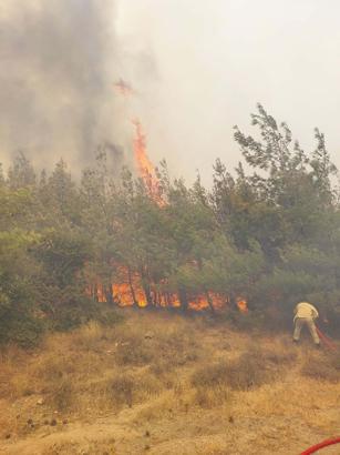 Çanakkale’de orman yangını/ Ek fotoğraflar