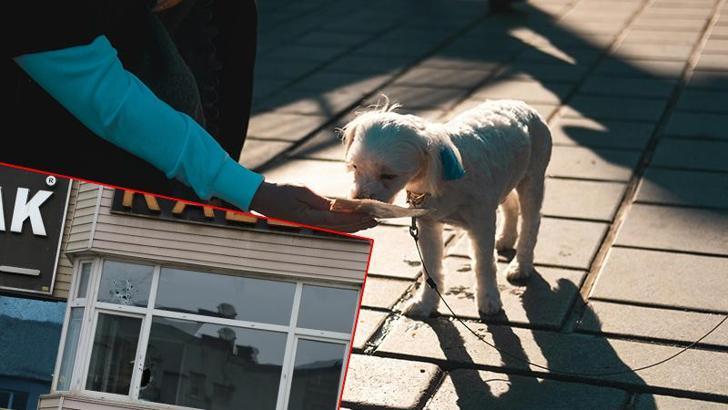 'Köpek besleme' tartışmasında komşu esnafı öldüren sanığa müebbet talebi