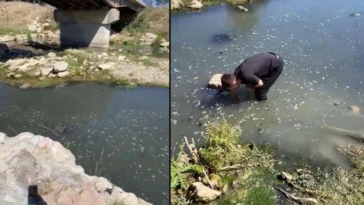 Atıklarını dereye boşaltan patates firmasına ceza