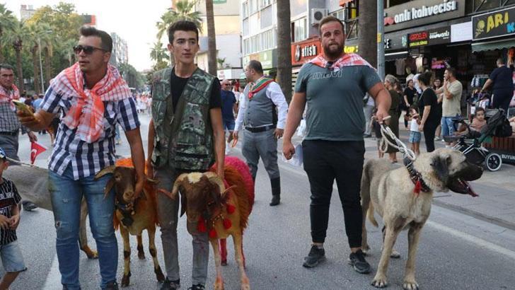 Denizli'de 8 asırdır süren 'Sudan Koyun Atlatma Yarışması ve Çoban Bayramı' öncesi kortej yürüyüşü