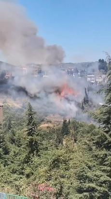 Kocaeli'de ağaçlık ve çalılık bölgede yangın; 60 dönüm alan zarar gördü