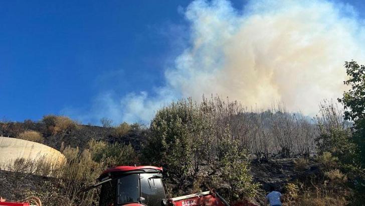 Ödemiş'te orman yangını