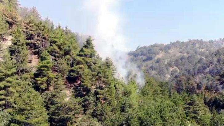 Bolu'da orman yangını 72 saat sonra kontrol altında