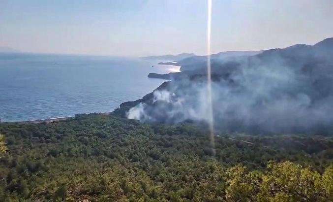 Datça'daki orman yangınında 1 gözaltı