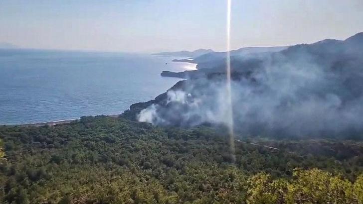 Datça'daki orman yangınında 1 gözaltı