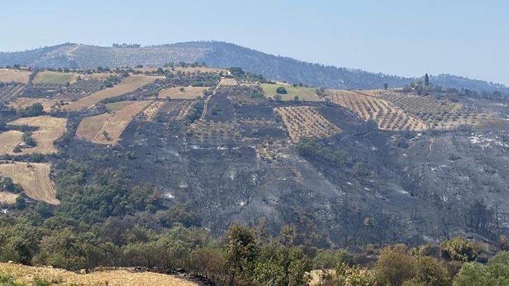 Manisa'daki orman yangını, 116,5 saat sonra kontrol altında